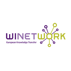 Das Projekt Winetwork