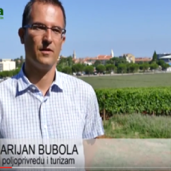 Institut za poljopredu i turizam