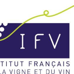 Bilan des travaux et recherches sur les maladies du bois par l'IFV, 2007