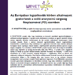 Az Eurpban legszlesebb krben alkalmazott gyakorlatok a szőlő aranysznű srgasg fitoplazmval (FD) szemben