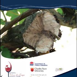 Grapevine trunk diseases - symptoms and distribution (GTD)