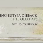 Managing Eutypa Dieback - The Old Days, video 10 of 10 (GTD)