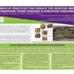 IN SEARCH OF PRACTICES THAT REDUCE THE NEGATIVE IMPACT OF GRAPEVINE TRUNK DISEASES IN EUROPEAN VINEYARDS