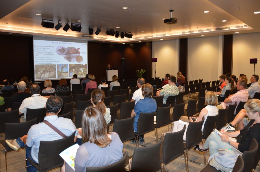 Kristina Grozic - bolesti drva vinove loze