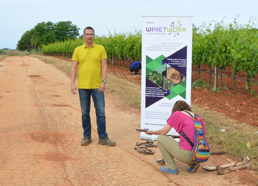 Terenski dio radionice WINETWORK