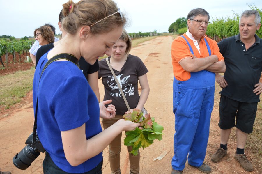 Terenski dio radionice - K. Grozic