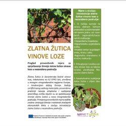 Pregled preventivnih mjera za sprječavanje irenja zlatne utice vinove loze u nezaraena područja