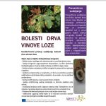 Sveobuhvatni pristup suzbijanju bolesti drva vinove loze