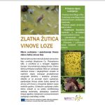 Mjere suzbijanja i sprje&#269;avanja širenja zlatne žutice vinove loze