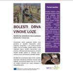 Rezidba kao preventivna mjera suzbijanja bolesti drva vinove loze