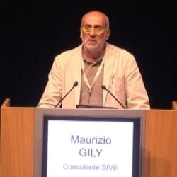 Maurizio Gily, consulente SIVE