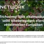 Trichodrma fajok alkalmazása a szolo tokebetegségek elleni védekezésben Európában (PPT)