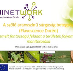 Kiemelt fontossg feladat a terletek folyamatos monitorozsa (PPT)