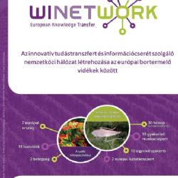 Winetwork projekt - Szórólap