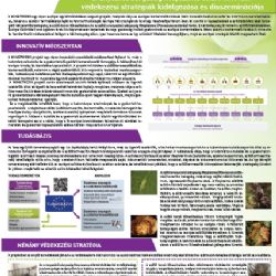 Winetwork projekt - Poszter