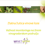 Zlatna zutica vinove loze: vaznost pracenja na sirem vinogradarskom podrucju