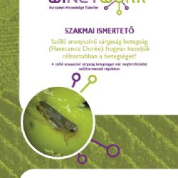 Szakmai ismertető - Technical Datasheet (FD)